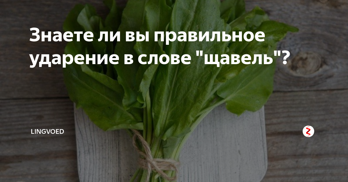 Щавель ударение. Ударение в слове щавель. Щавель щавель ударение. Ударение щавель ударение. Как правильно поставить ударение щавель