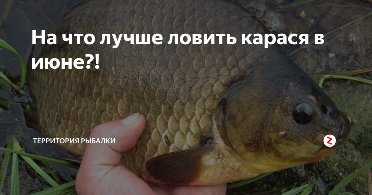 Новости и сообщения из официальной группы Вконтакте Магазина Рыболов-Турист - Ма