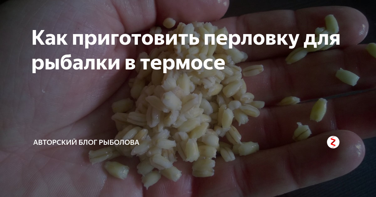 Как правильно сварить перловку на карася. Перловка в термосе для рыбалки. Как приготовить перловку для карася. Перловка в термосе для рыбалки рецепт приготовления. Перловка на рыбалку рецепт.