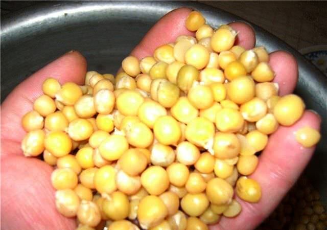 фото взято из сети интернет