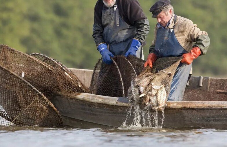 Рыбалка на Мордушку Вершу Кубарь Морду