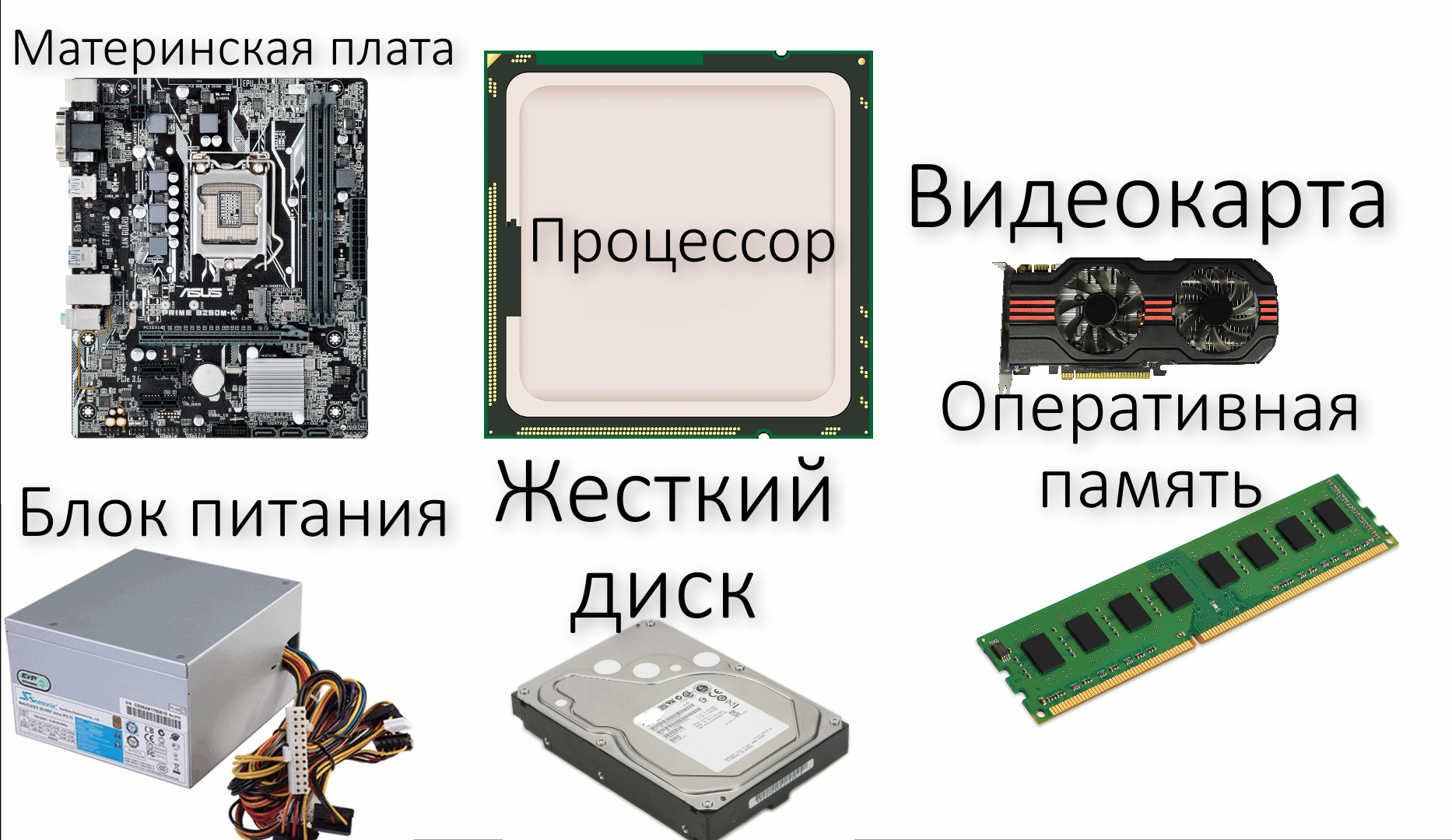 Оперативная память центральный процессор видеокарта