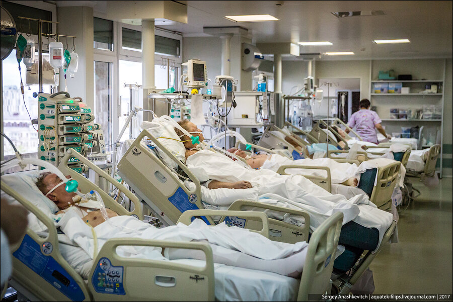 Сергей Анашкевич  2017 г.