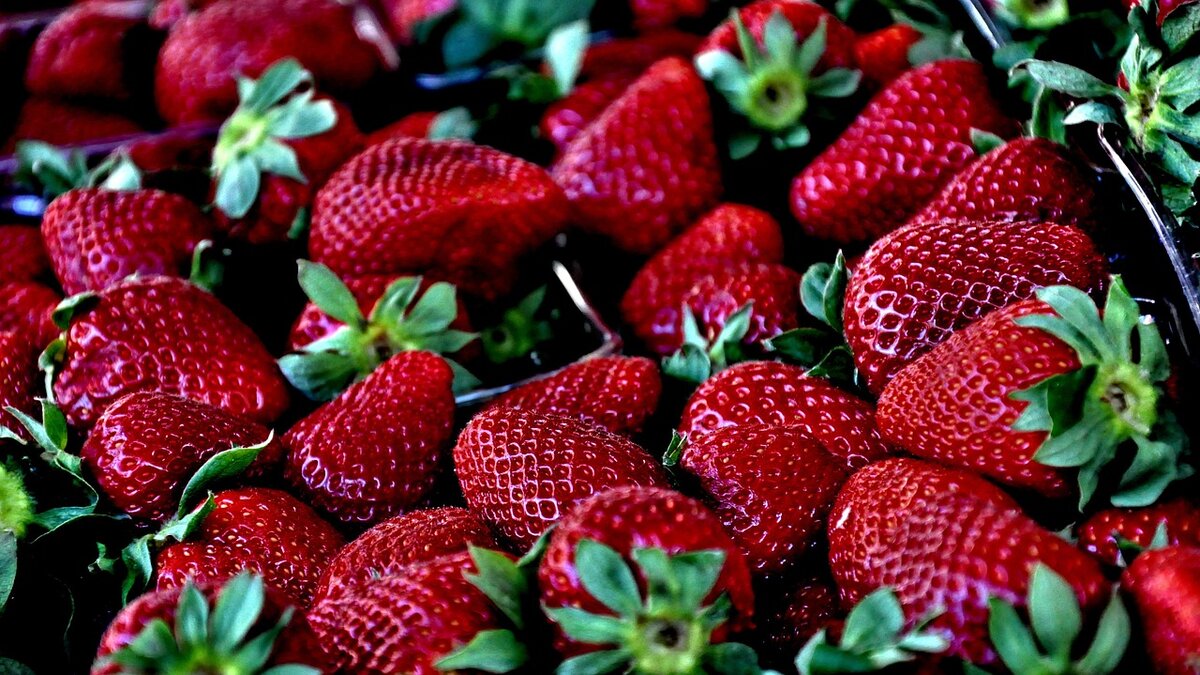 Фото: szjeno09190 | Pixabay | CC0 Creative Commons | free for commercial use