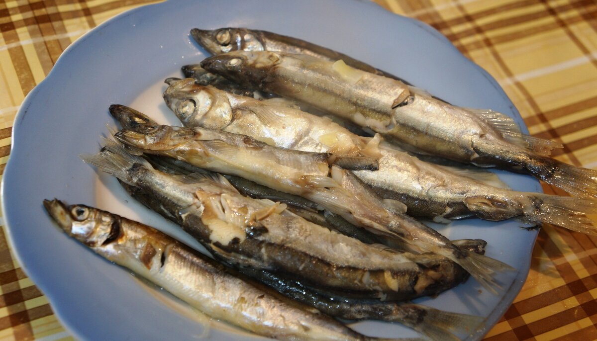 Мойва как пожарить быстро и вкусно