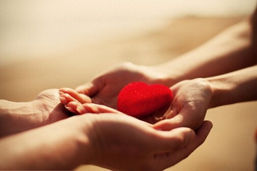 фото не принадлежит автору