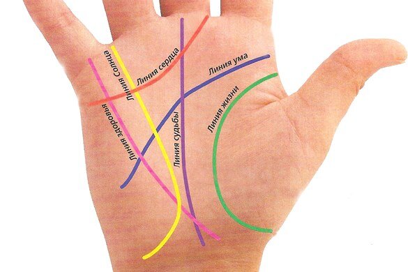 Линии детей на руке - примеры, фото с расшифровками