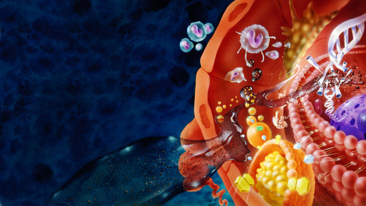 Вот как-то так всё и происходит=)