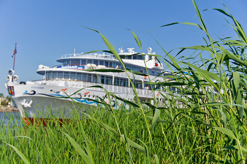 Потому что нельзя быть на свете красивой такой клип. Петлюра платье белое караоке. Караоке белая птица. Ваенга шопен караоке. Караоке белая птица.