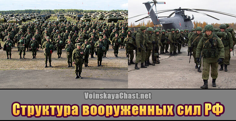 Взвод рота батальон полк структура - 80 фото