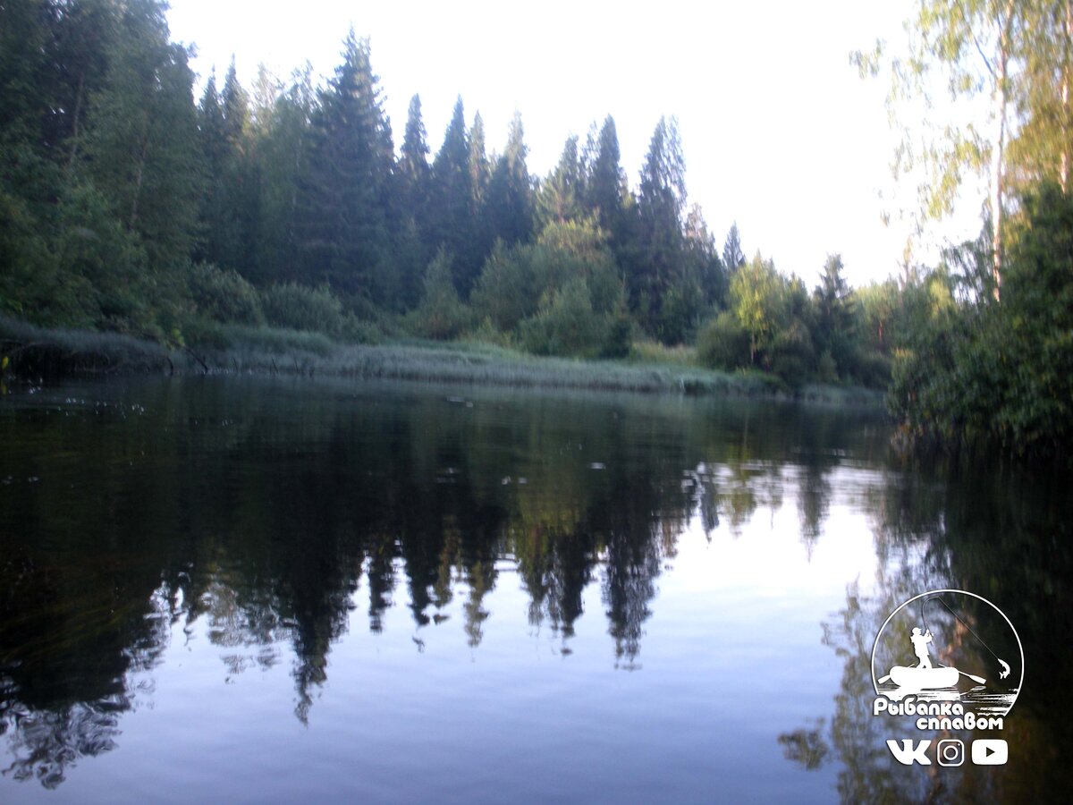 река утром                                                                                                                                                                                                                                                          