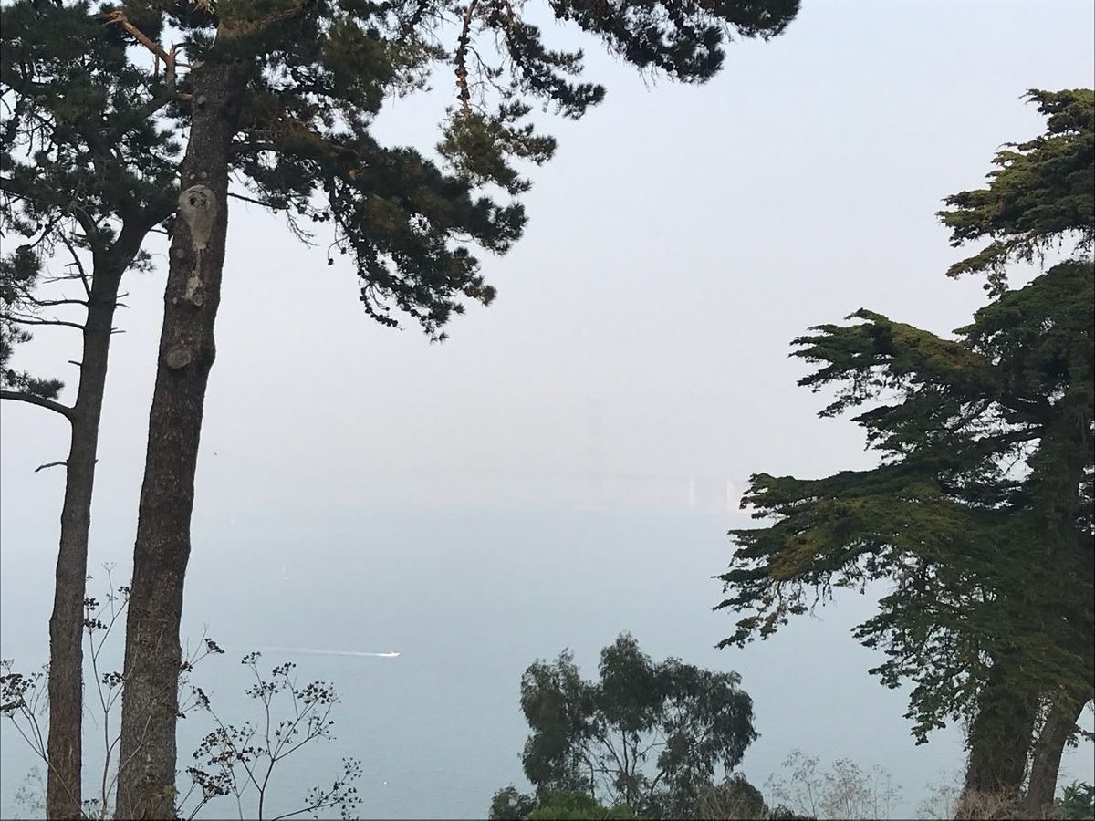 Почти не различимый в дымке мост Golden Gate 