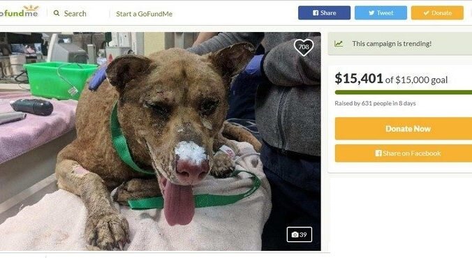 Оставляйте свое мнение в комментариях, делитесь публикацией с друзьями.