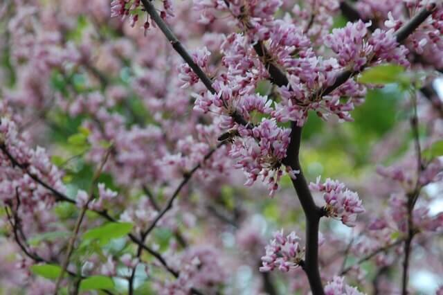 «Мой внутренний мир порождает окружающий мир!» Т. Харв Экер