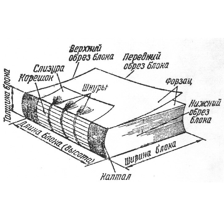 Устройство книжка. Элементы переплета книги. Конструкция переплетной книжки. Переплет книги схема. Конструкция корешка книги.