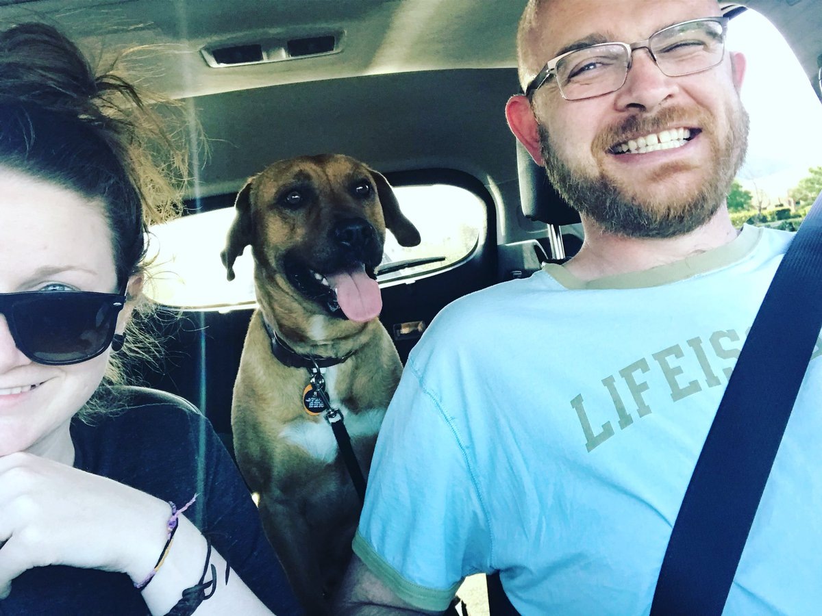 Пес Ривер любит путешествовать со своим хозяином