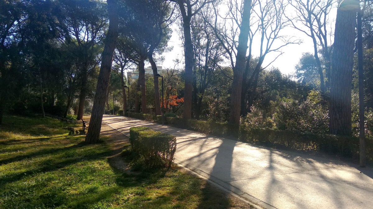 Парк Дель Боск (Parc Bosc), Фигерас (Figueres), Каталония, Испания