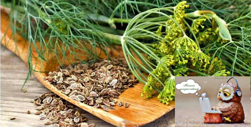 Фото с сайта: happiness-and-beauty.ru