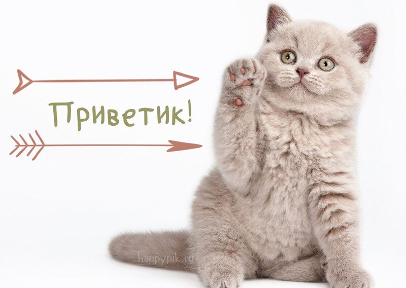Привет 