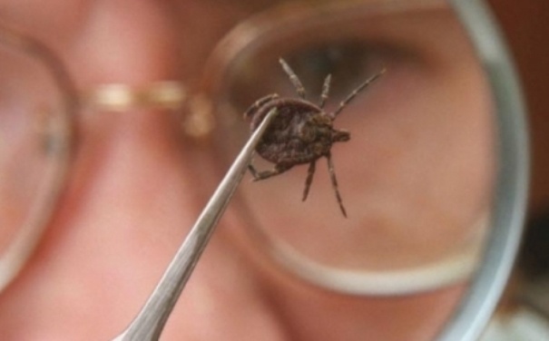 фото из google картинок, для иллюстрации