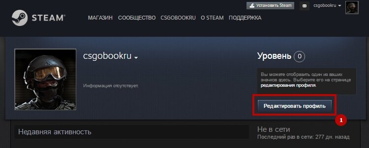 Как поменять фон в стиме. Как скрыть профиль в стим. Скрытый профиль стим. Как поставить картинку в профиле стим. Как скрыть профиль в КС.