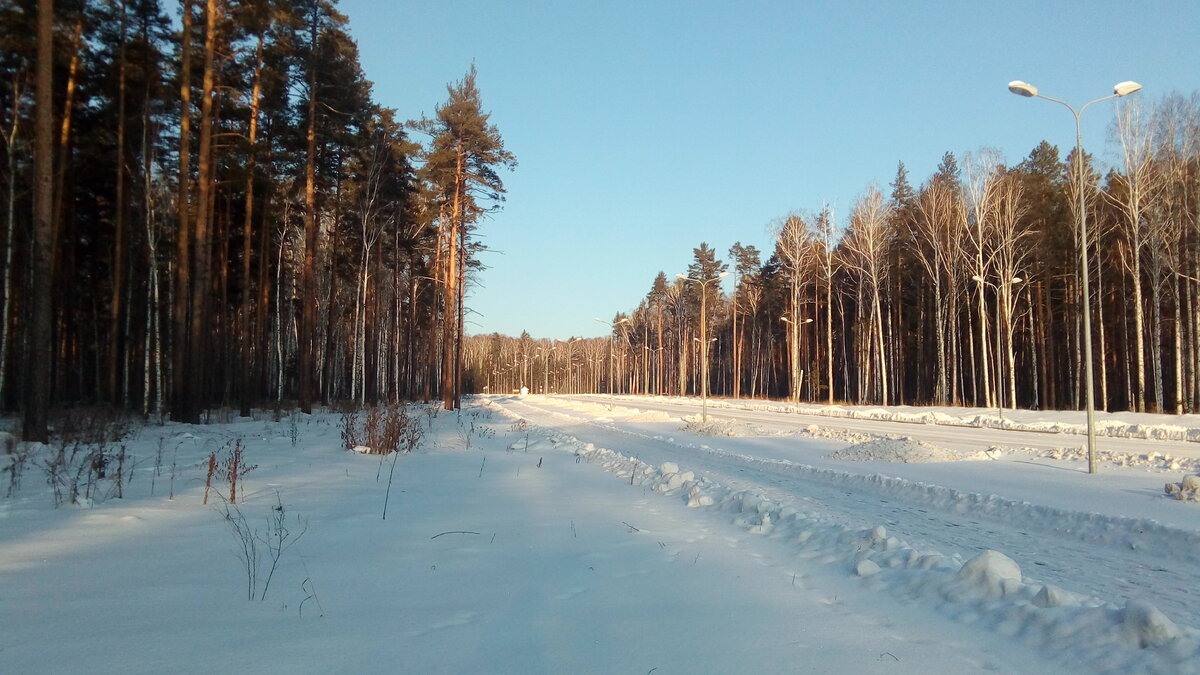 Яхрома беговые лыжи трасса. Катание на лыжах в лесу дети. Старики на лыжах. Между турбазой и поселком проложена лыжня. На лыжах в деревне.