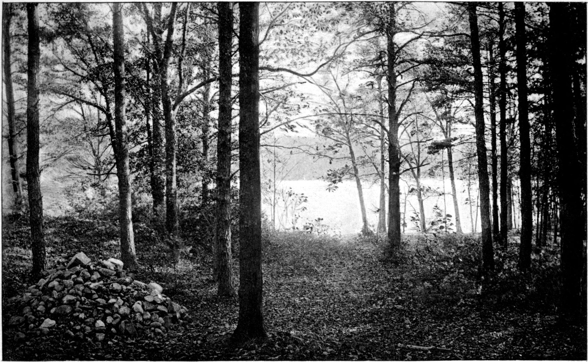 2. Thoreauland