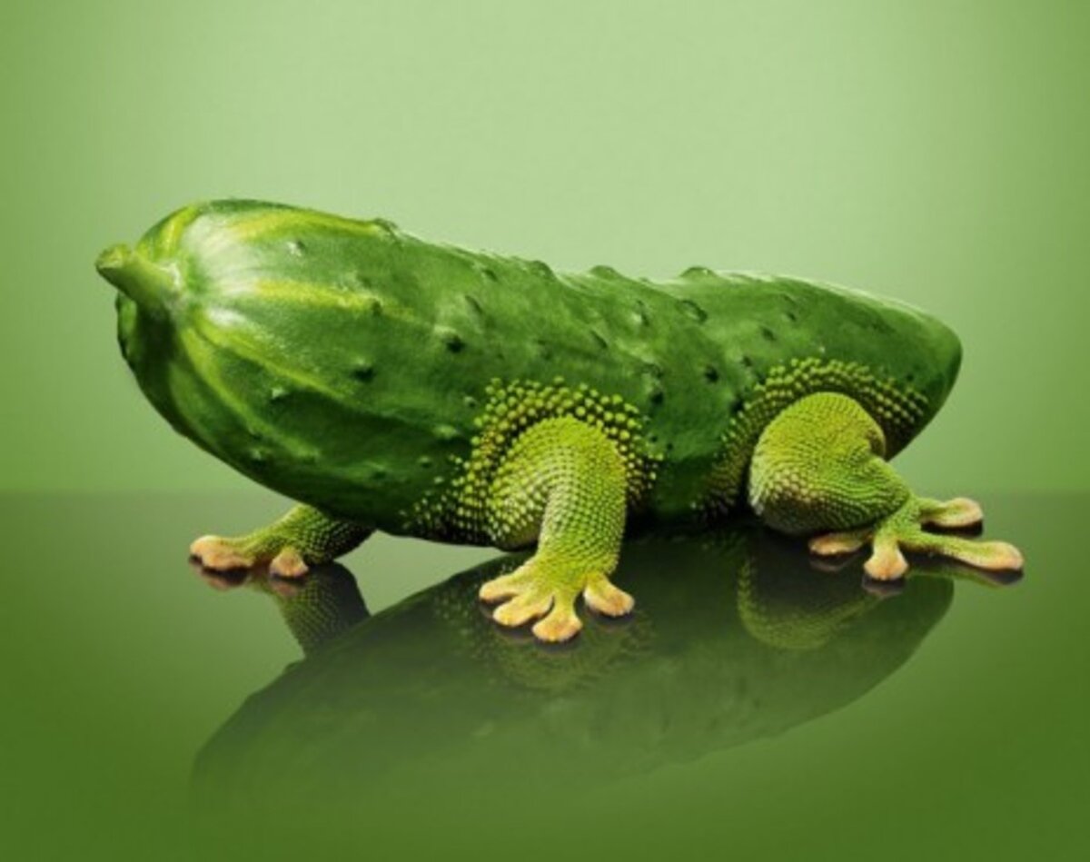 
Источник изображения