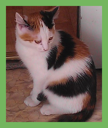 Выглядит Глаша примерно так.