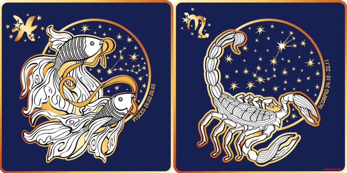 Знаки зодиака. Рыбы. Рыба Скорпион. Знак скорпиона и рыбы. Изображение знака зодиака рыбы.