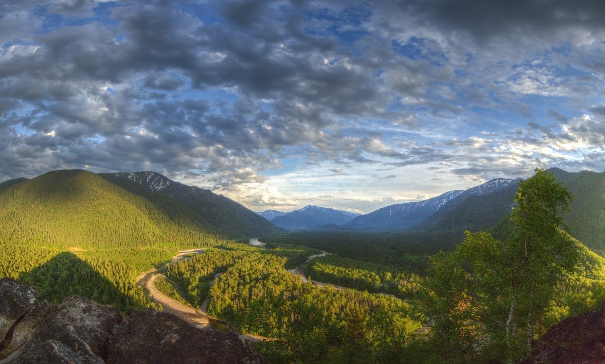 Фото: Яндекс