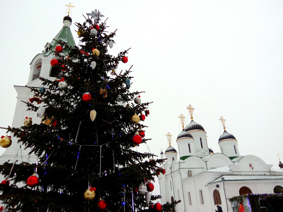 Красивая ёлка у Спасо-Преображенского монастыря
