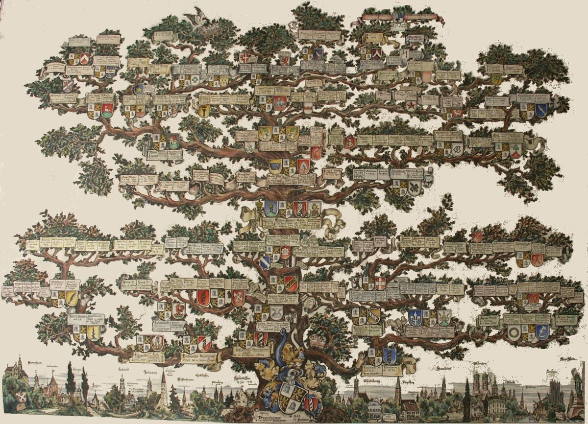 Генеалогическое древо европейского дворянского рода