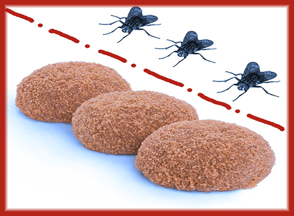 Вы легко отделите мух от котлет