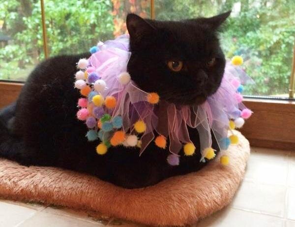 В молодости Сан Саныч любил принарядиться. Фото Д. Донцовой