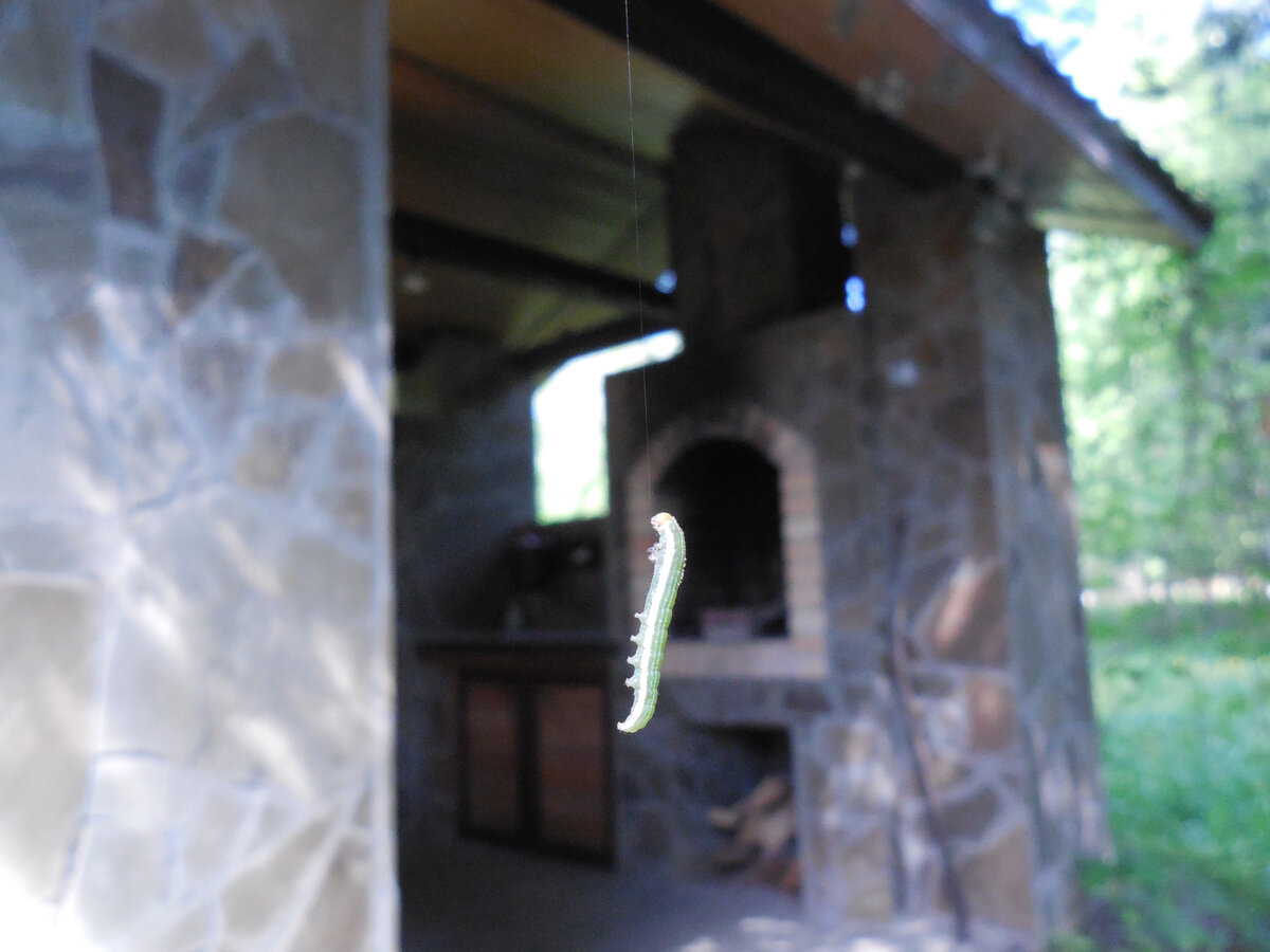 Не красотка, самая обычная. Но настоящая акробатка!