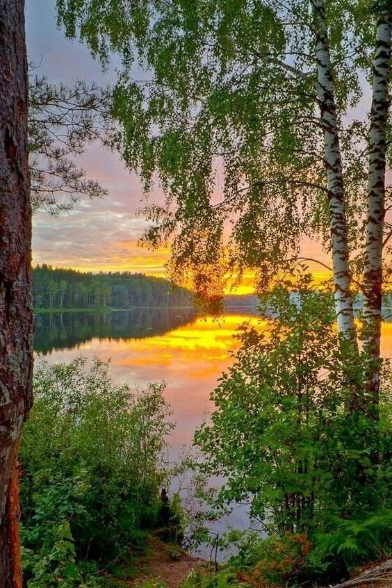 https://www.pinterest.ru/pin/552746554265419662/