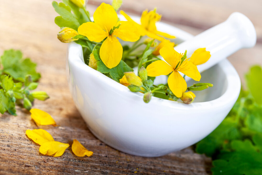 Автор: Dagmara_K, фото приобретено на сайте www.shutterstock.com