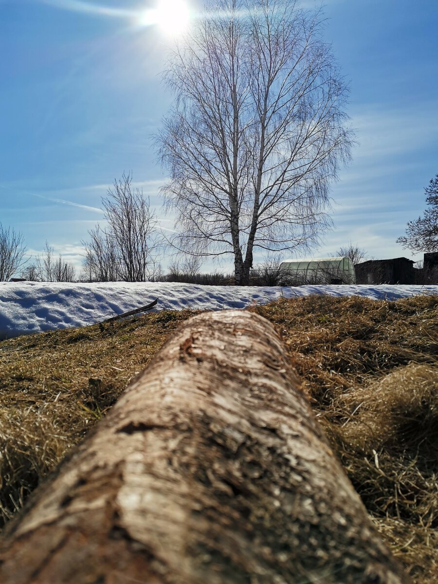 Солнце и снег