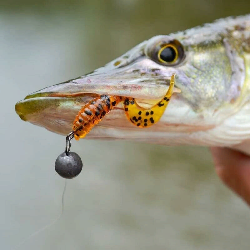 Привлекатели и ароматы для рыбалки Walleye - огромный выбор по