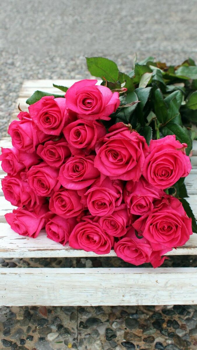 Фото взято из открытого источника.Для разбавления текста. 