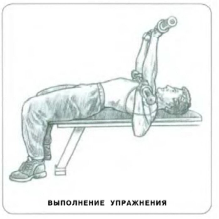 Техники правильного выполнения силовых упражнений. Правильная техника жима лежа.