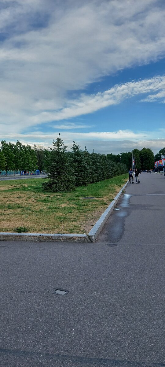 Елочки и много асфальта: делать в таком "парке" просто нечего