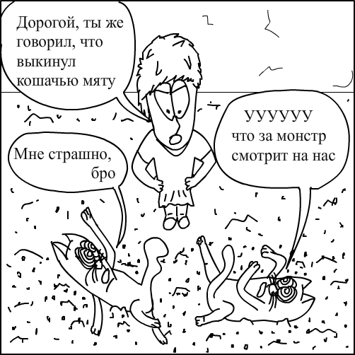 За котами приглядывать проще, чем за детьми