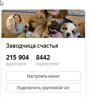 скрин профиля автора 