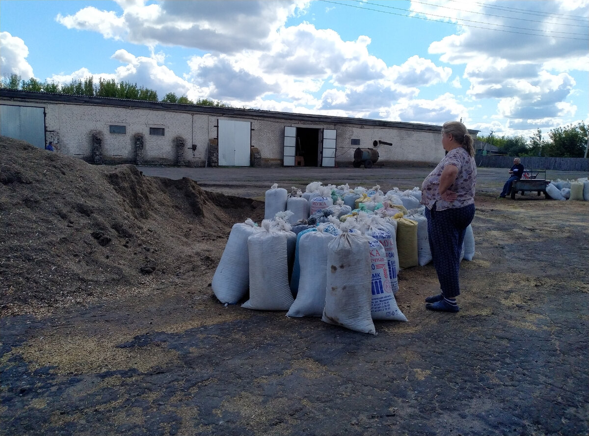 Это куча подсолнуха