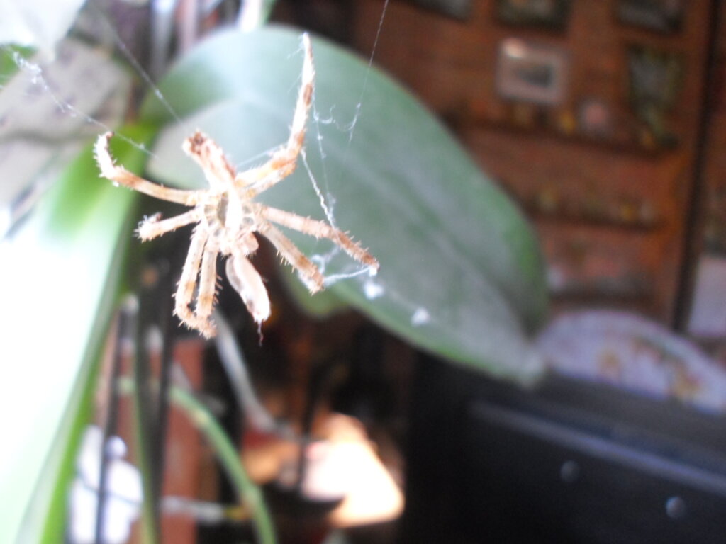 Он точно был.