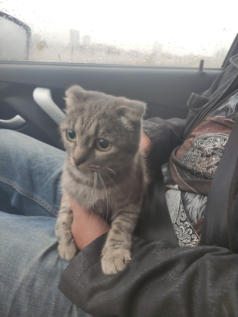 Это Жужа, на ней зарабатывали деньги