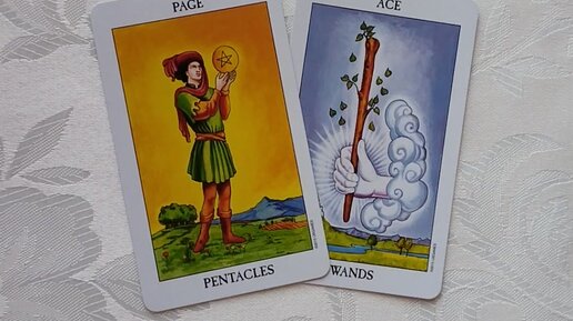 дженни таро дзен