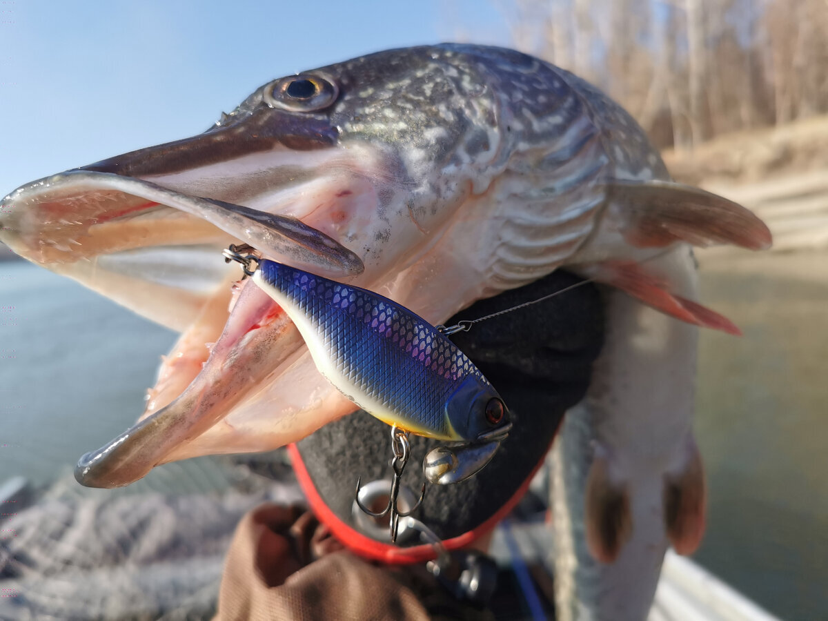 Jackall TN 70 Trigon. Фото "Лодочник". 